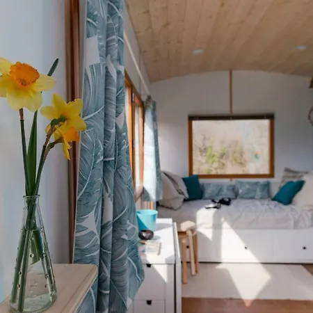 Bed and Breakfast La Tete Dans Les Etoiles